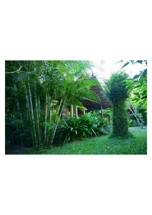 Hotel The Horse & Chariot Madikeri Exterior foto